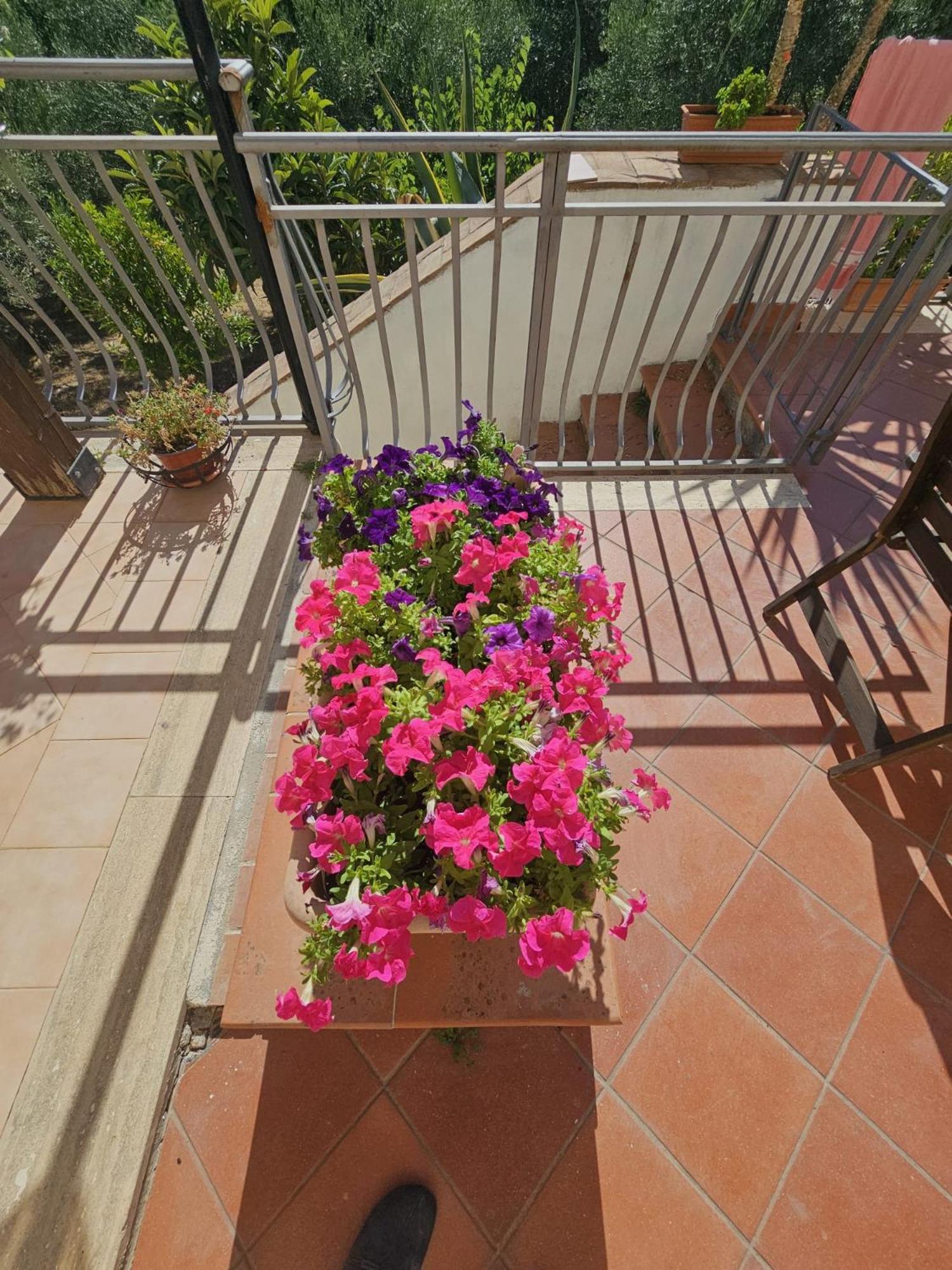 Borgo Vignale Hotel Santuario di Gibilmanna Kültér fotó